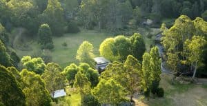 Lots of mature trees for summer shade